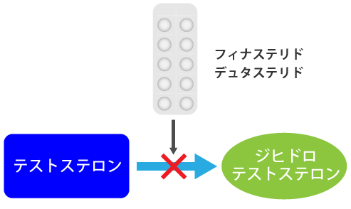 薬剤作用機序