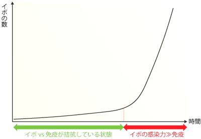 イボと（からだの）免疫の関係と増殖スピードの図